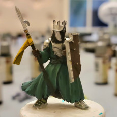 Picture of print of Morgul Knight on Foot Proxy