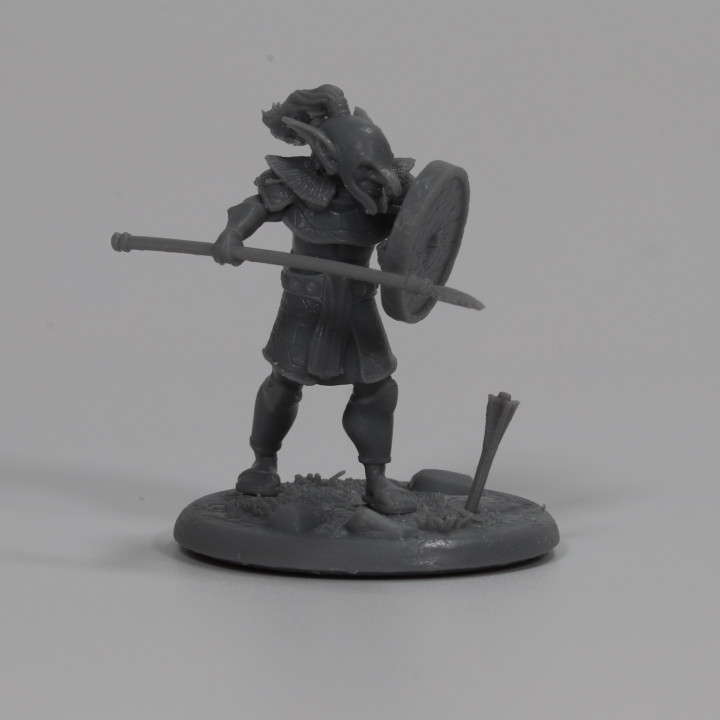 Highlands Goblin Spear and Shield image