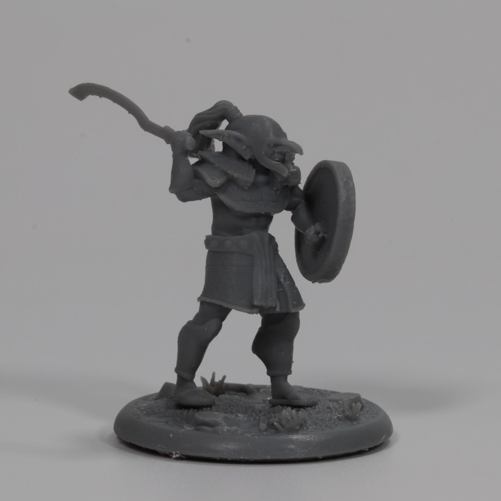 Highlands Goblin Sword and Shield - Attacking image