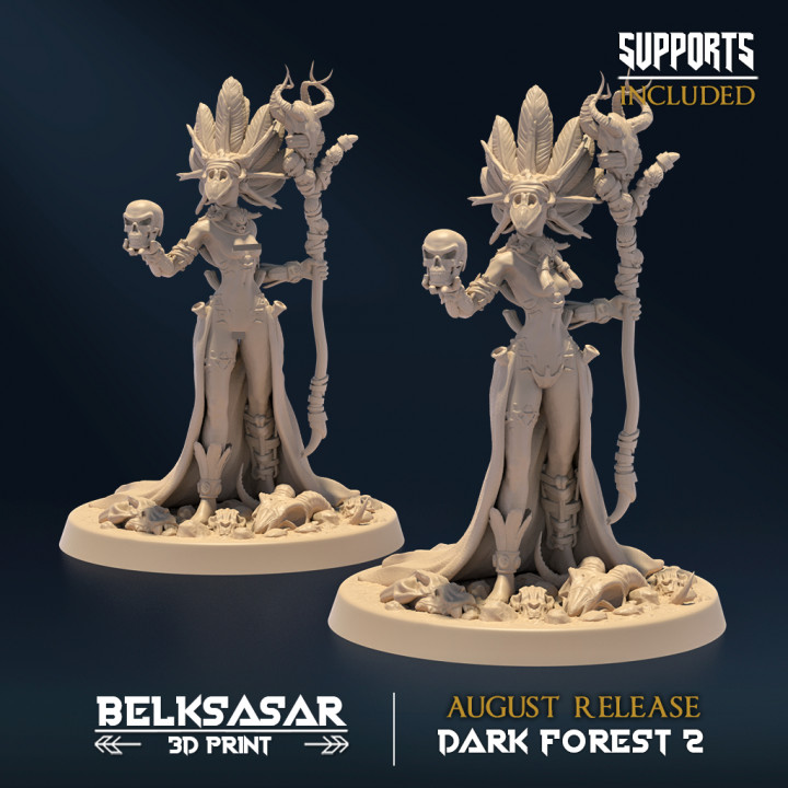 Dark Forest II - Arcanist image