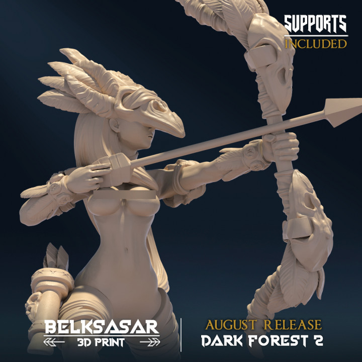 Dark Forest II - Arcanist image