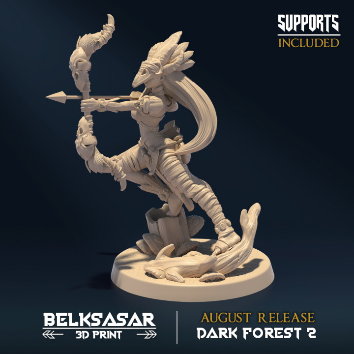 Dark Forest II - Knight image