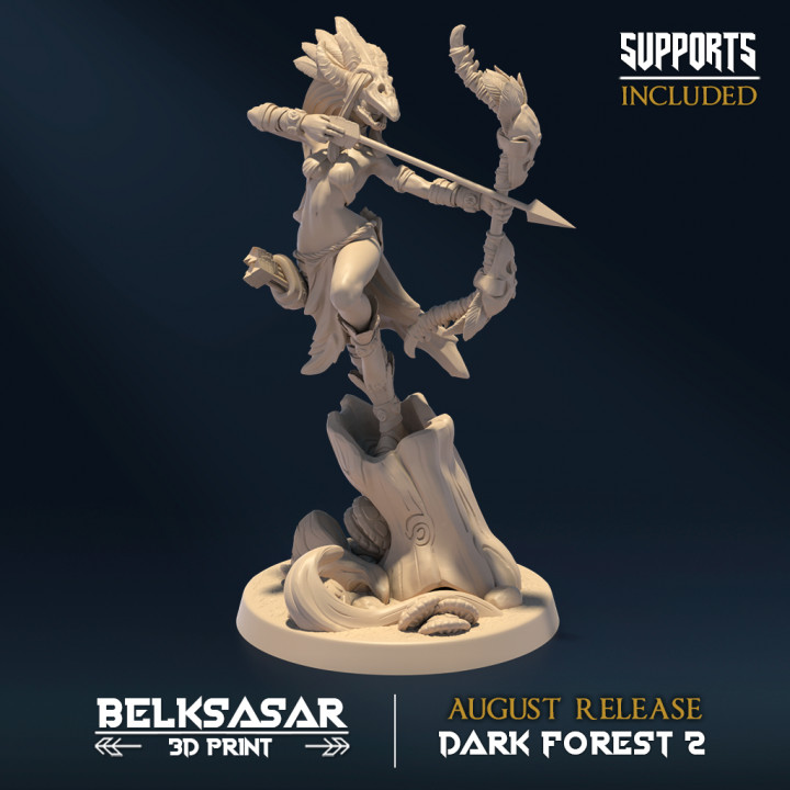 Dark Forest II - Knight image