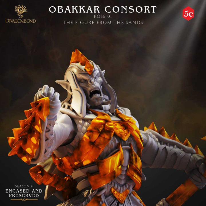 Dragonbond Tribes Obakkar Consort (3 units) image