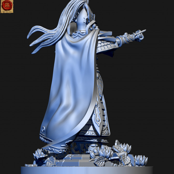 High elves sword master lord image