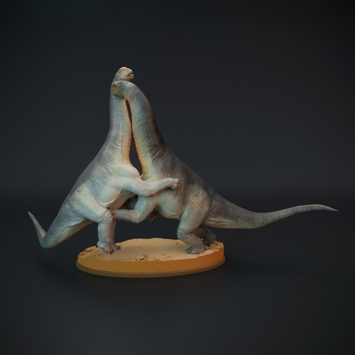 Camarasaurus fight - dinosaur sauropod image