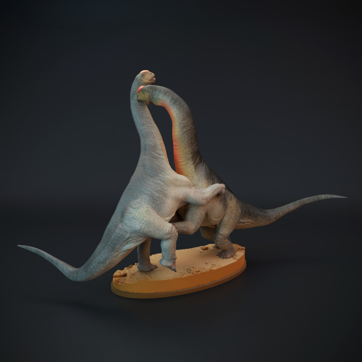 Camarasaurus fight - dinosaur sauropod image