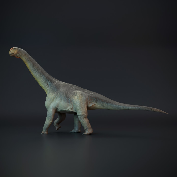 Camarasaurus walking - dinosaur sauropod image