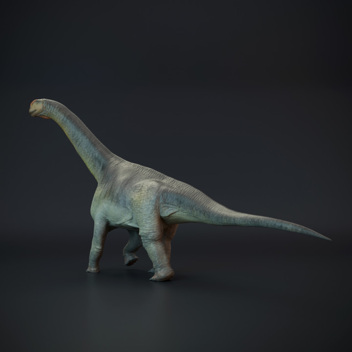 Camarasaurus walking - dinosaur sauropod image