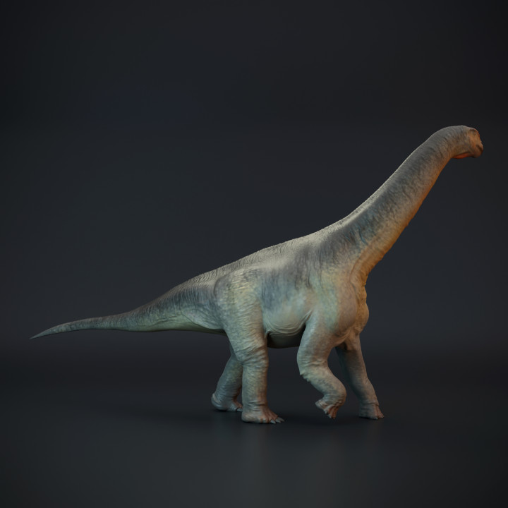 Camarasaurus walking - dinosaur sauropod image