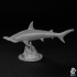 Hammerhead Shark print image