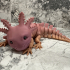 Adorable Articulated Axolotl, Print-In-Place Body, Snap-Fit Head, Cute Flexi print image
