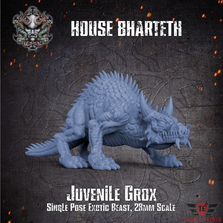House Bharteth - Juvenile Grox image