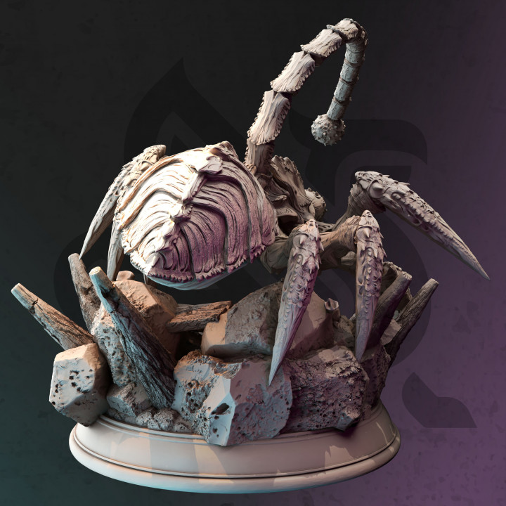 Giant Spider Assassin - Meloth the Watcher image