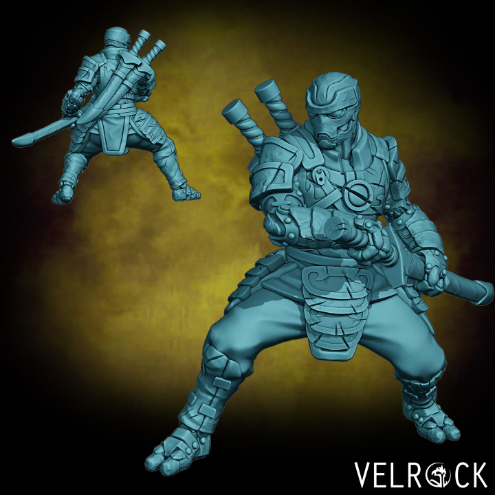 Veteran Swordsmen Pack (PRESUPPORTED) image