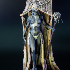 Picture of print of Dark Elf High Priestess