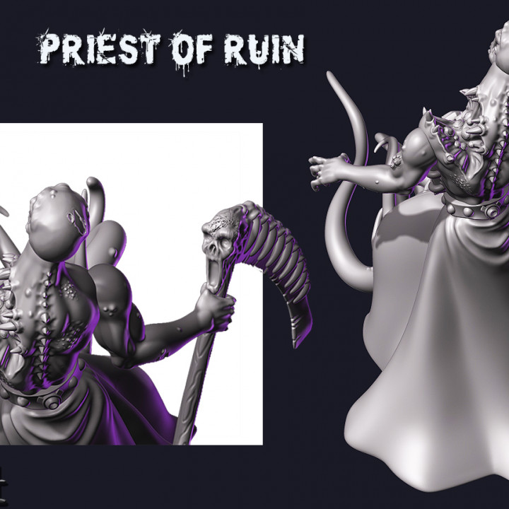 Priest of Ruin image