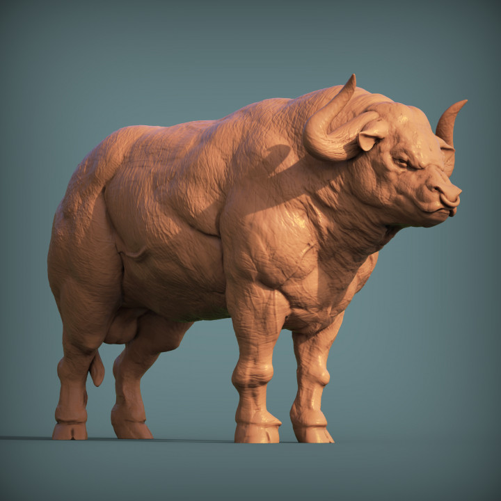 Bull (pre-supported) image