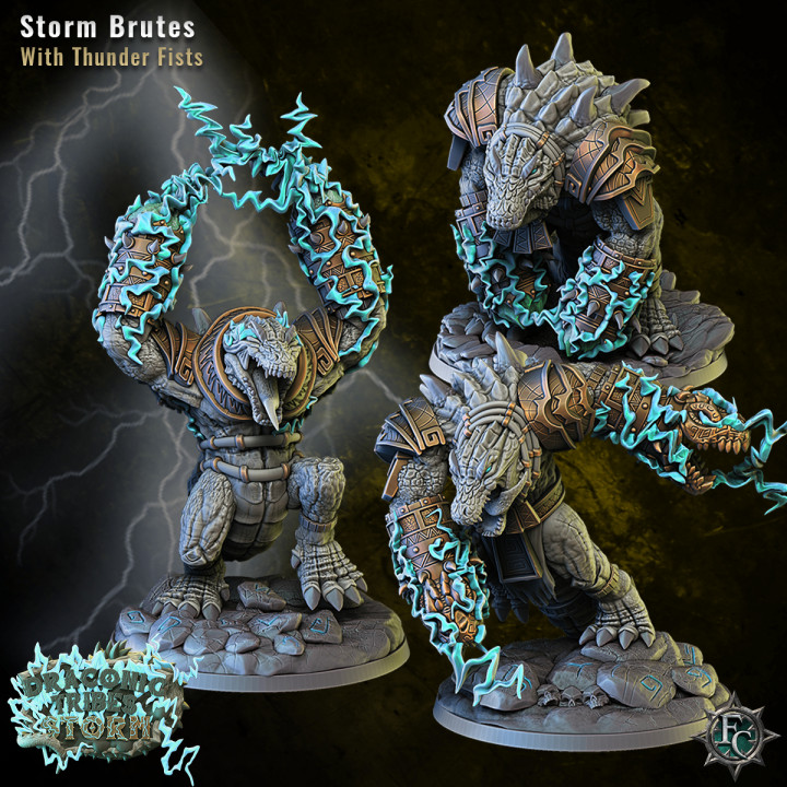 Storm Brutes image