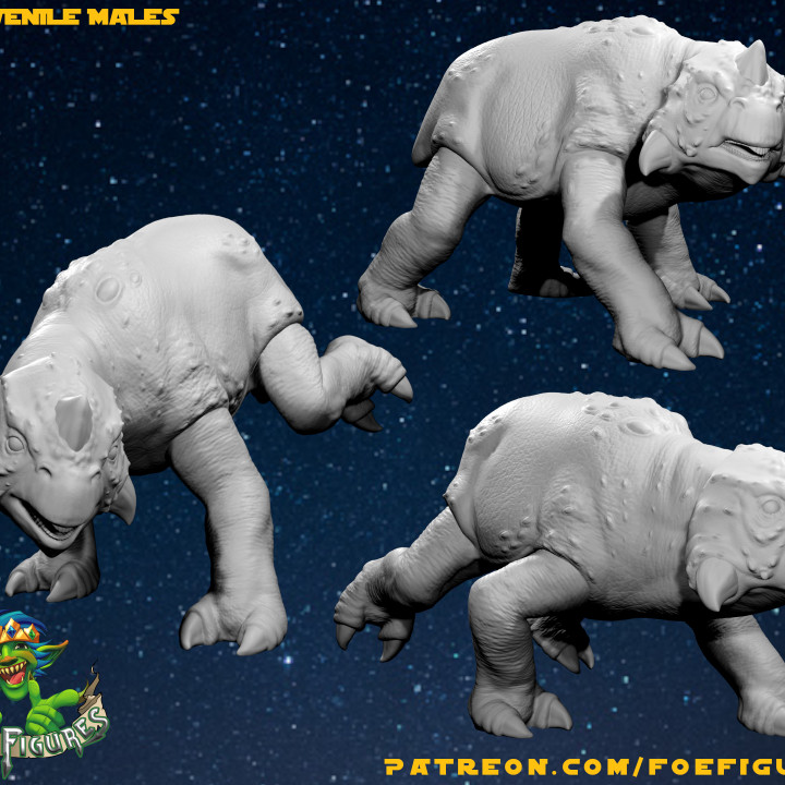 Space Rhino Juvies (male) image