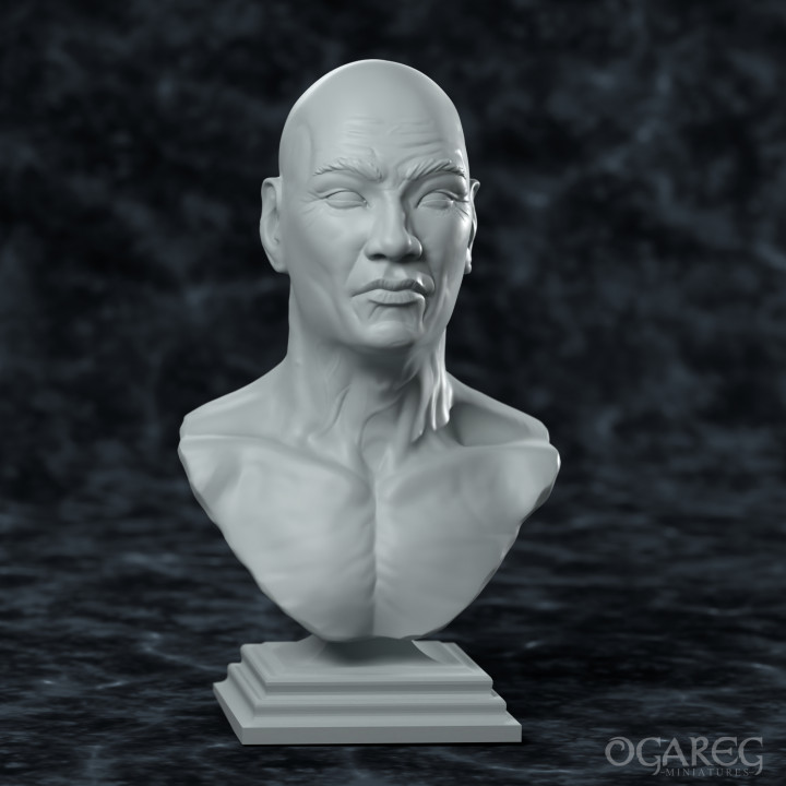 Academic Human Elder bust, presupported image