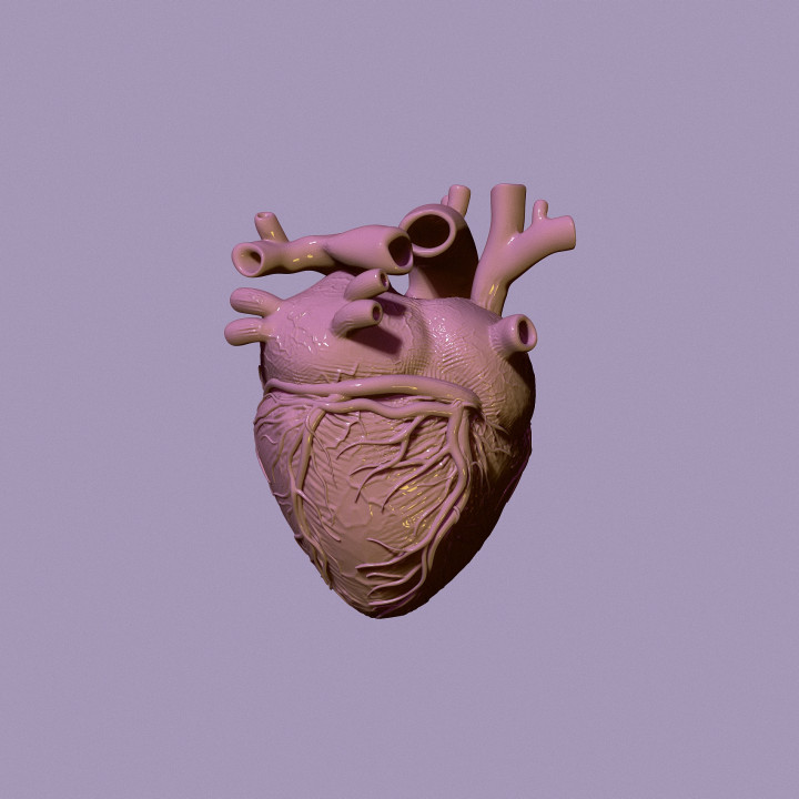 3D Printable human heart by Viktoriya Kabanova