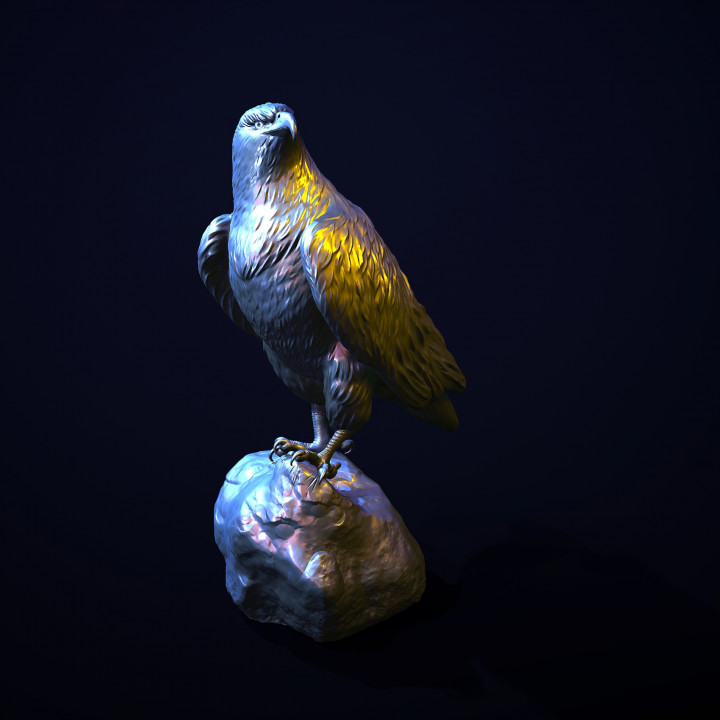 GOLDEN EAGLE image