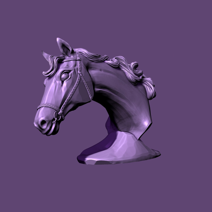 horse bust image