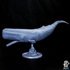 Picture of print of Sperm Whale - Animal Cet objet imprimé a été téléchargé par ELI 3D