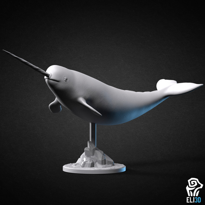 Descargar Narwhal - Animal de ELI 3D