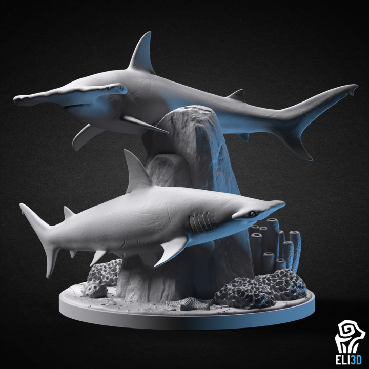 Hammerhead Shark Diorama - Animal image