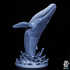 Picture of print of Humpback Whale Breaching - Animal Cet objet imprimé a été téléchargé par ELI 3D