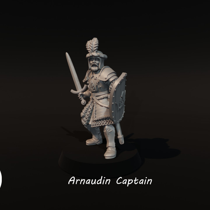 Arnaudin Captain image