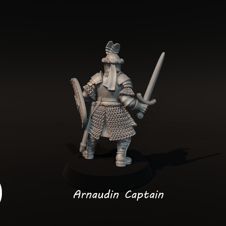 Arnaudin Captain image