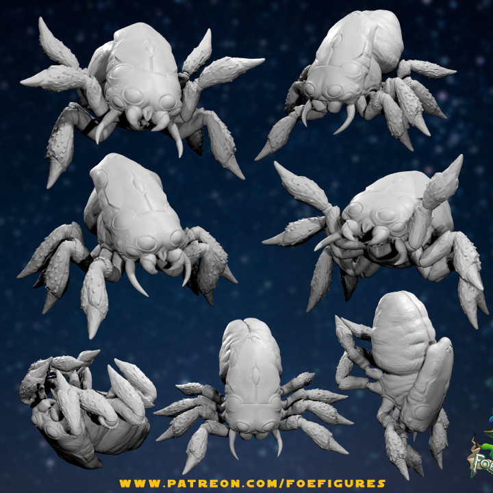 Net Spiders