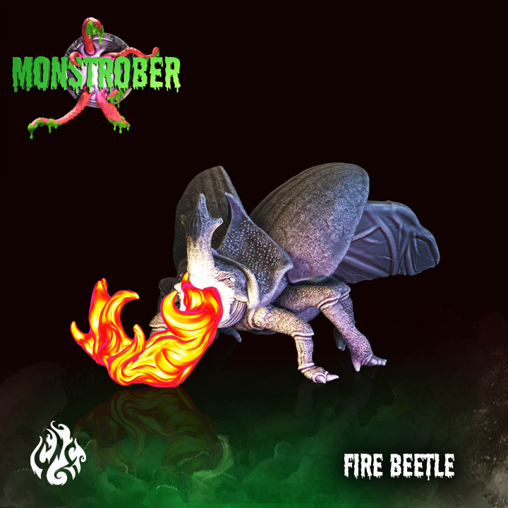 Fire Beetle image