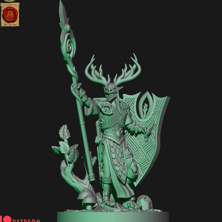 Wood elves spear lord image