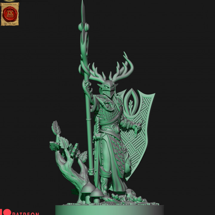 Wood elves spear lord image