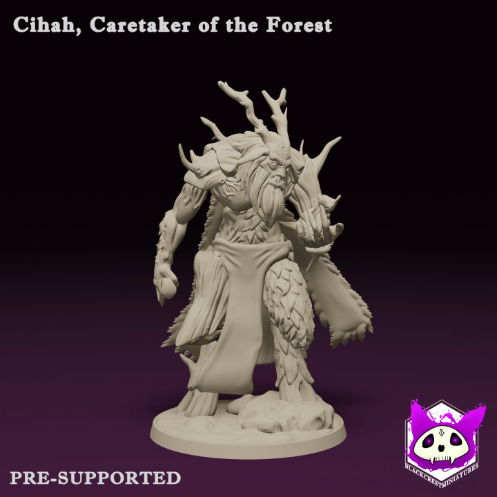 Cihah, Caretaker of the Forest