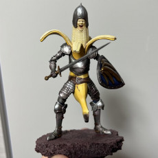 Picture of print of Peeled Paladin (Pose 1 of 3)