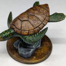 Picture of print of Sea Turtle - Animal