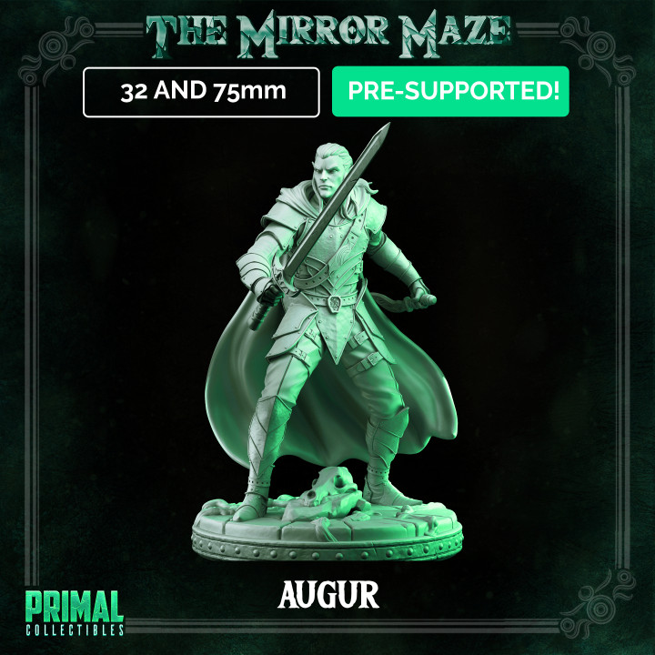 Elf - Augur - THE MIRROR MAZE - MASTERS OF DUNGEONS QUEST image
