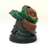Owlkin Thief Miniature - Pre-Supported print image