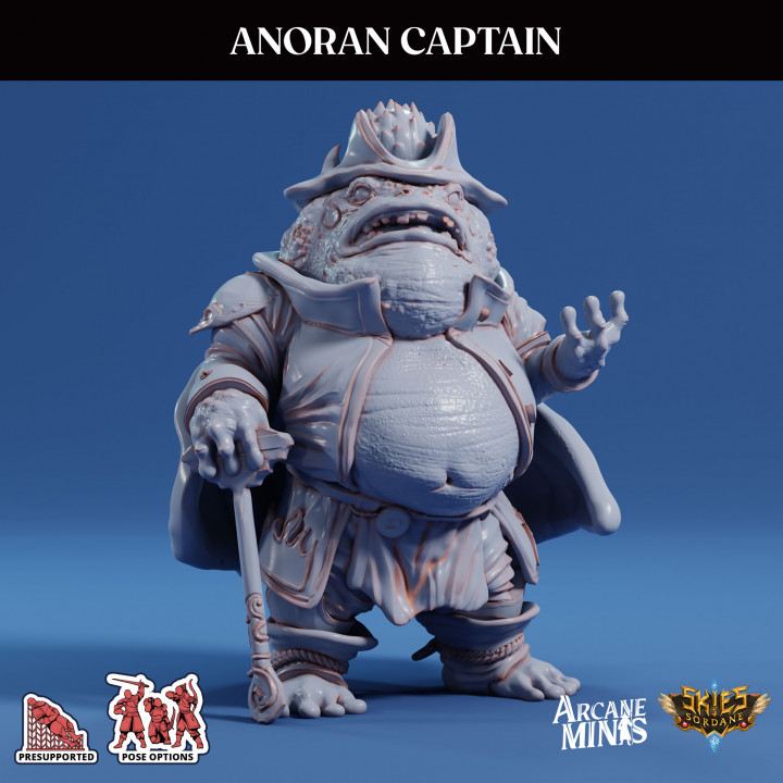 Anoran Captain image