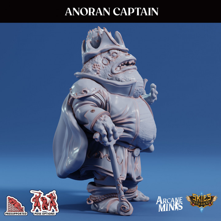 Anoran Captain image