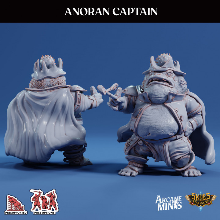 Anoran Captain image