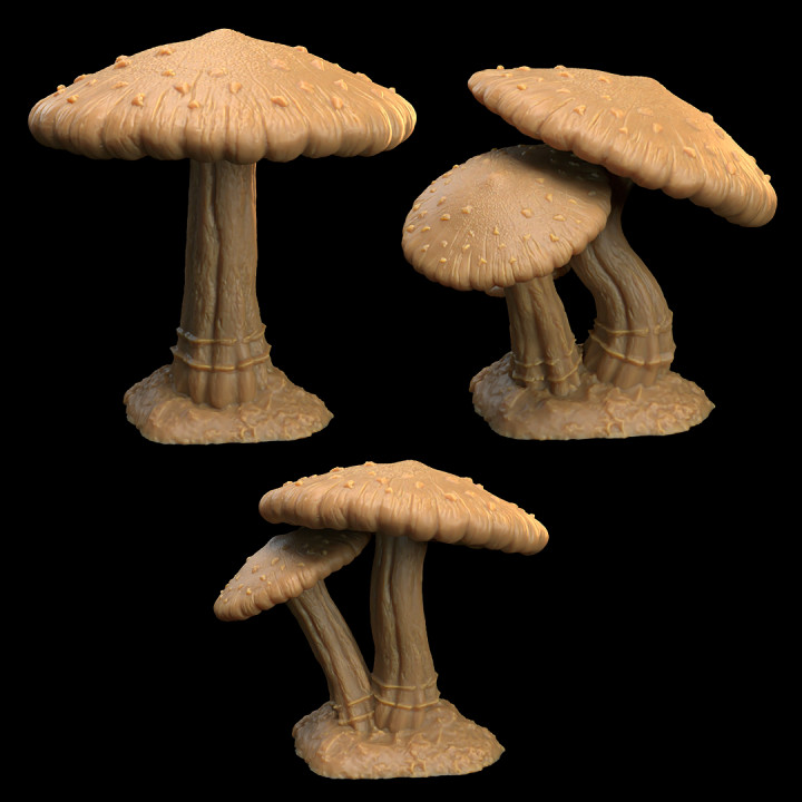 Mushroom Bayou COMPLETE SET | Dragon Trappers Lodge | PRESUPPORTED image