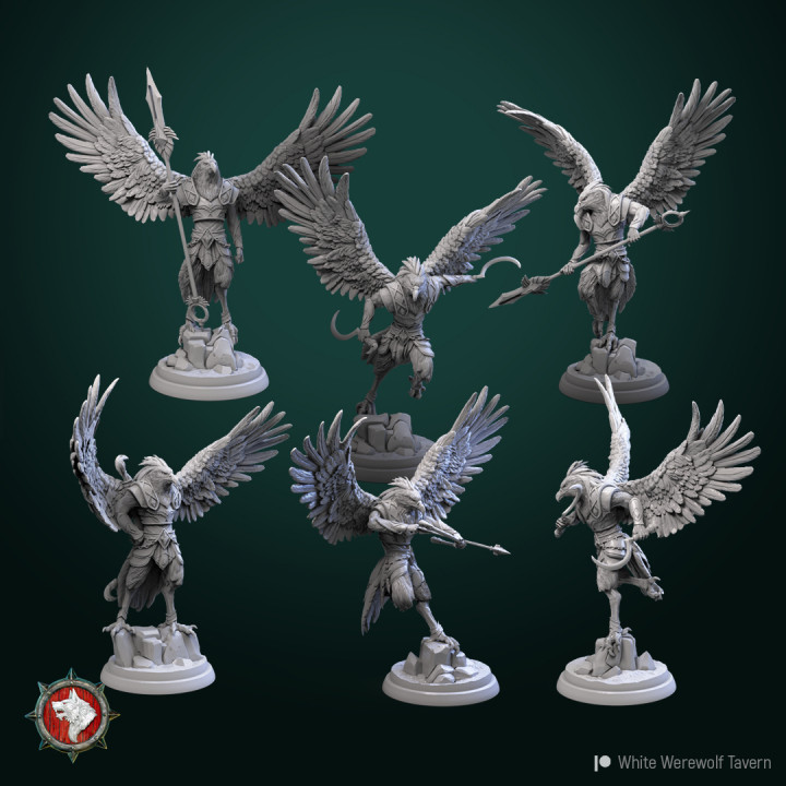 Aarakocra warriors 6 miniatures 32mm  pre-supported