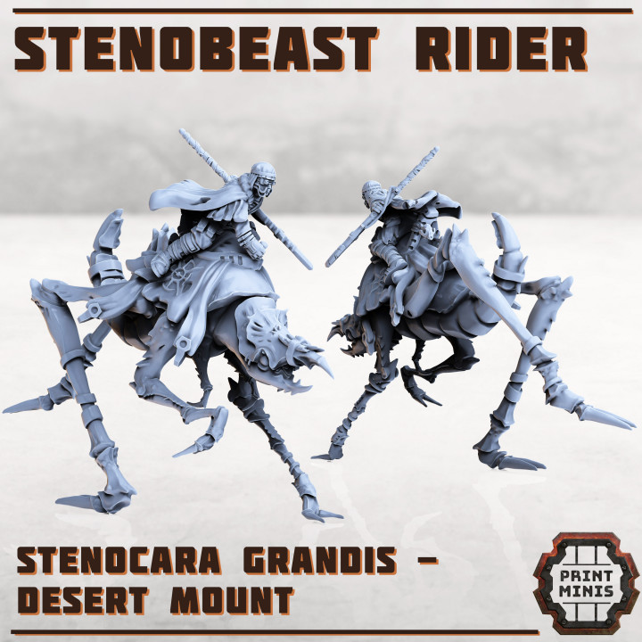 Erroish Chief - Desert Rider image
