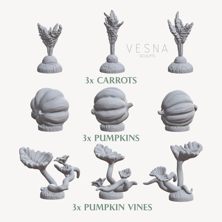 PUMPKINS AND CARROTS image